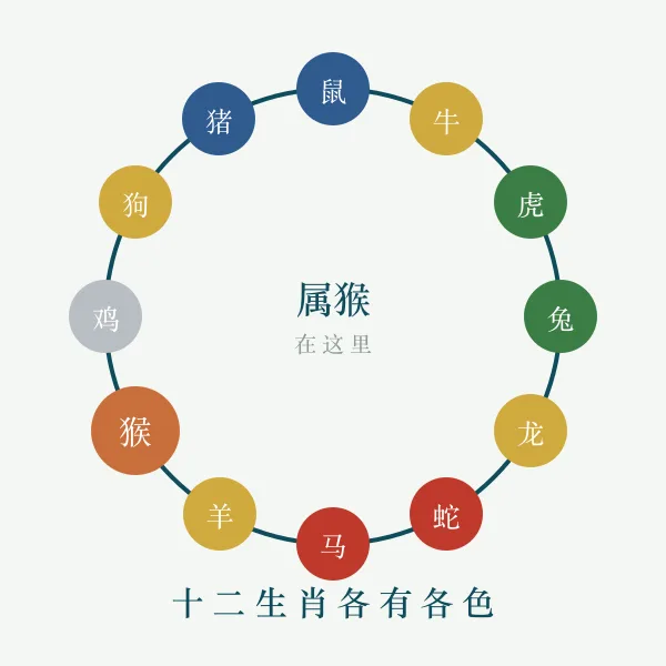 十二生肖环与五行对应示意