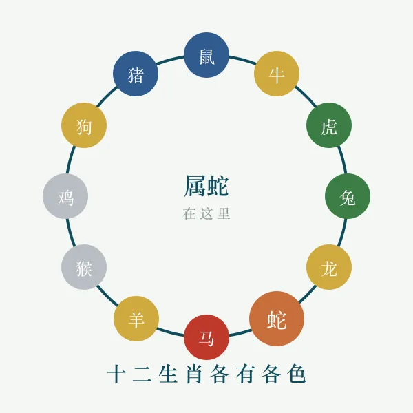 十二生肖环与五行对应示意