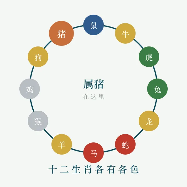 十二生肖环与五行对应示意