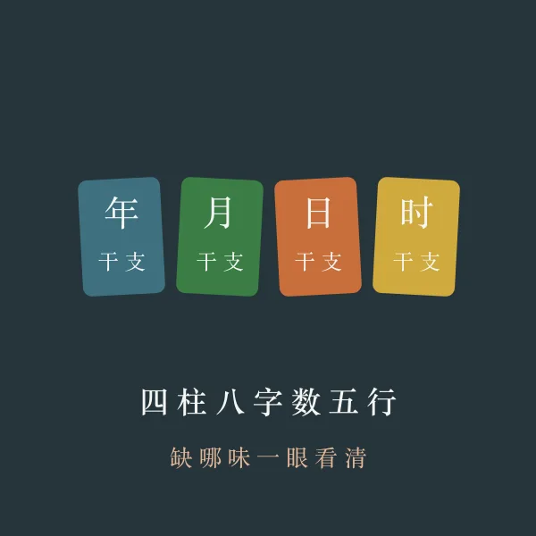 四柱八字排盘示意